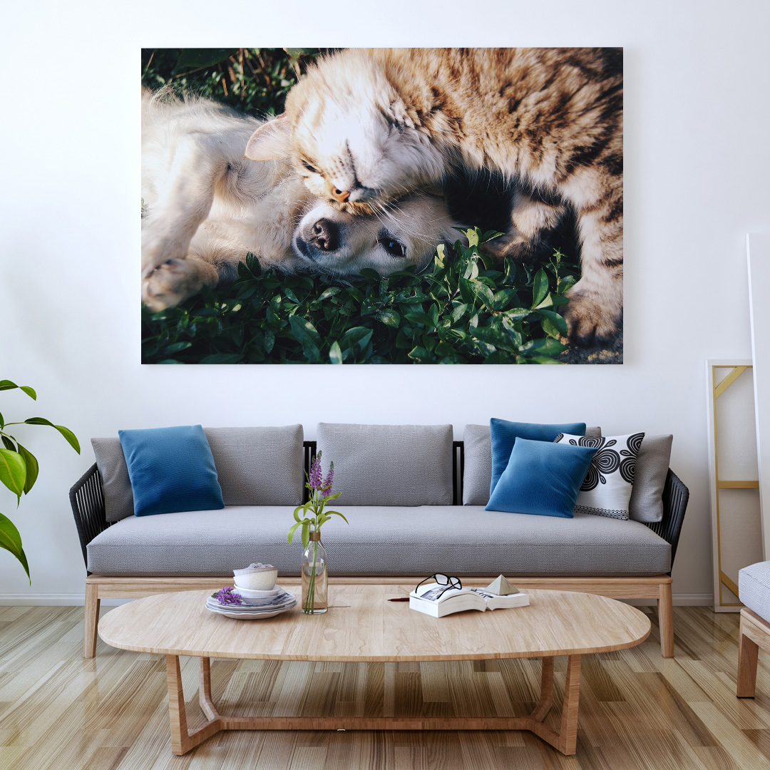 Tablou cu caini si pisici