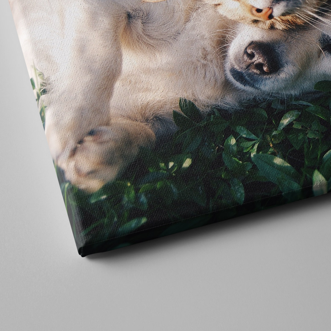 tablou-canvas-prieteni-blanosi-02-ceraprint
