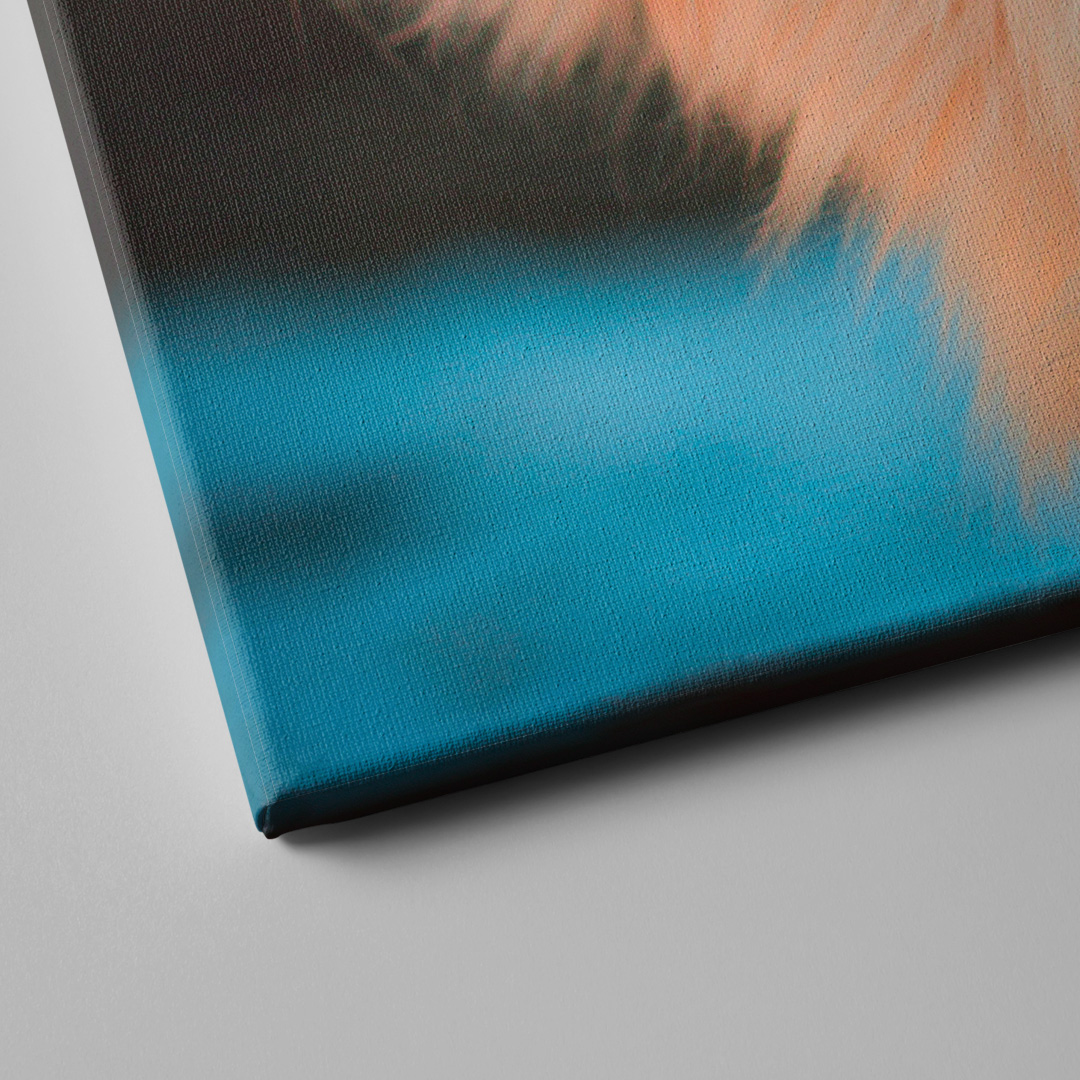 tablou-canvas-prietenie-pisica-si-fluturas-tablou-02-ceraprint