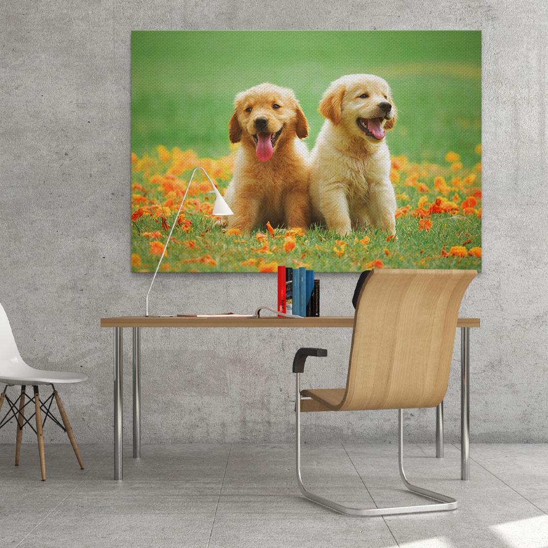 Tablou pui de golden