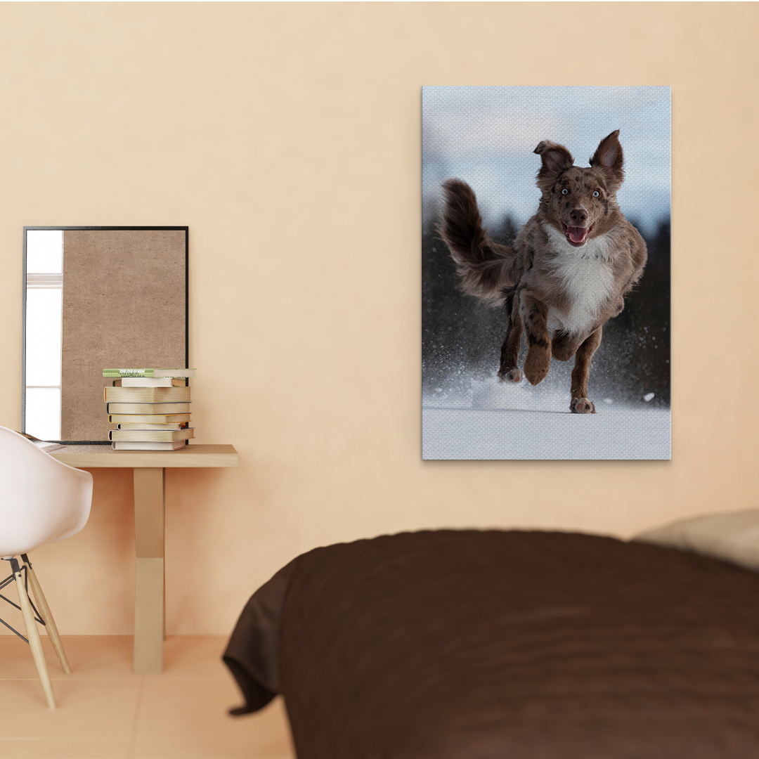 Tablou caine alergand