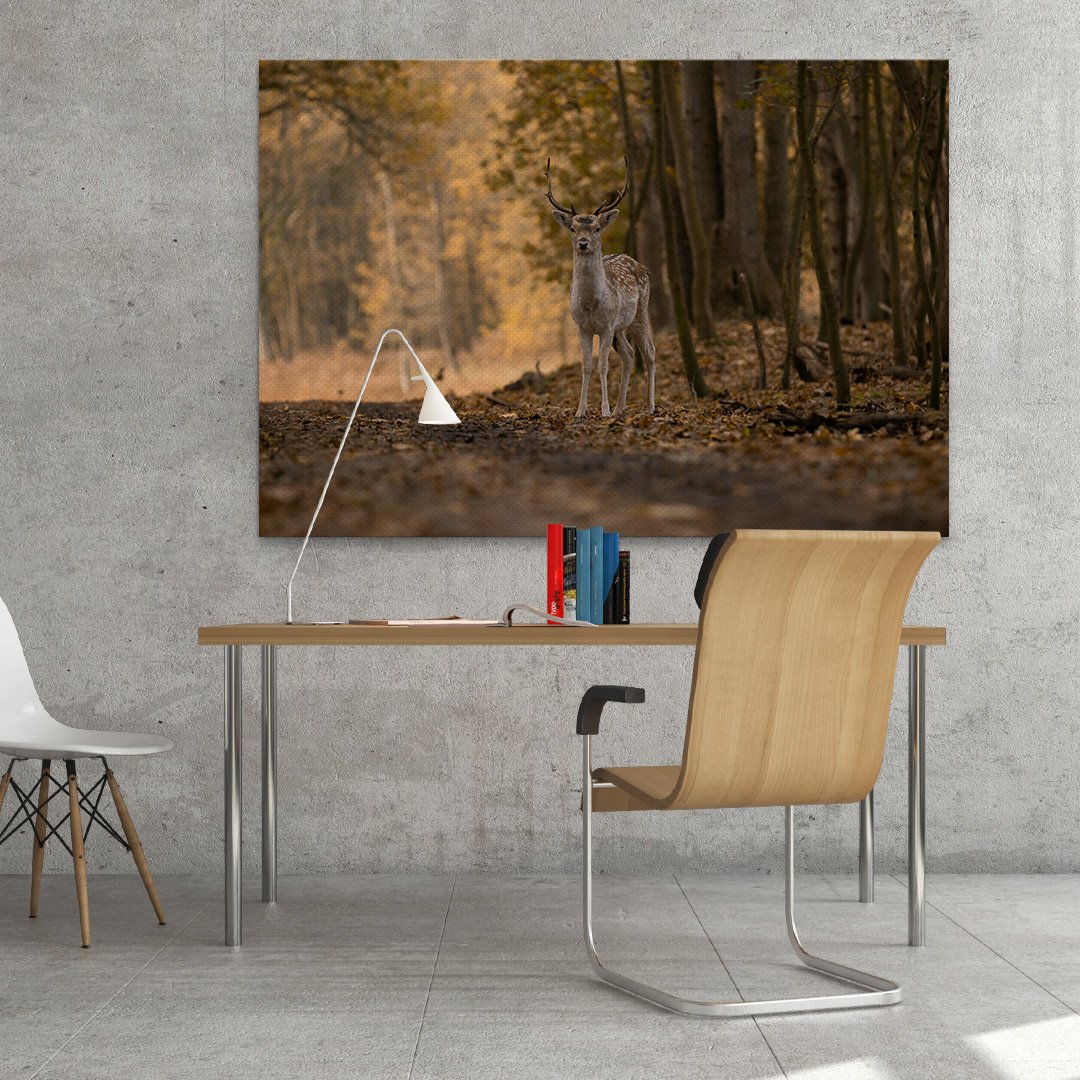 Tablou tânărul cerb