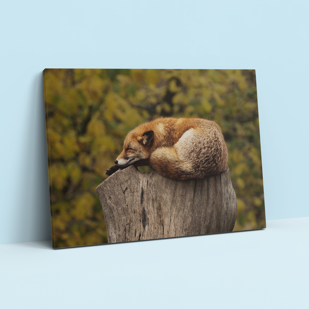 tablou-canvas-vulpea-din-padurea-adormita-03-ceraprint