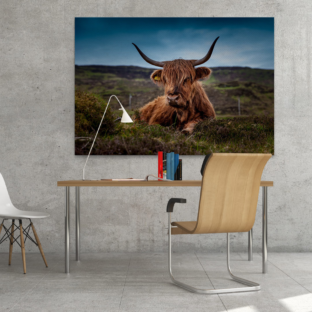 Tablou odihna in salbaticie